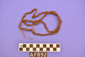 AF892
