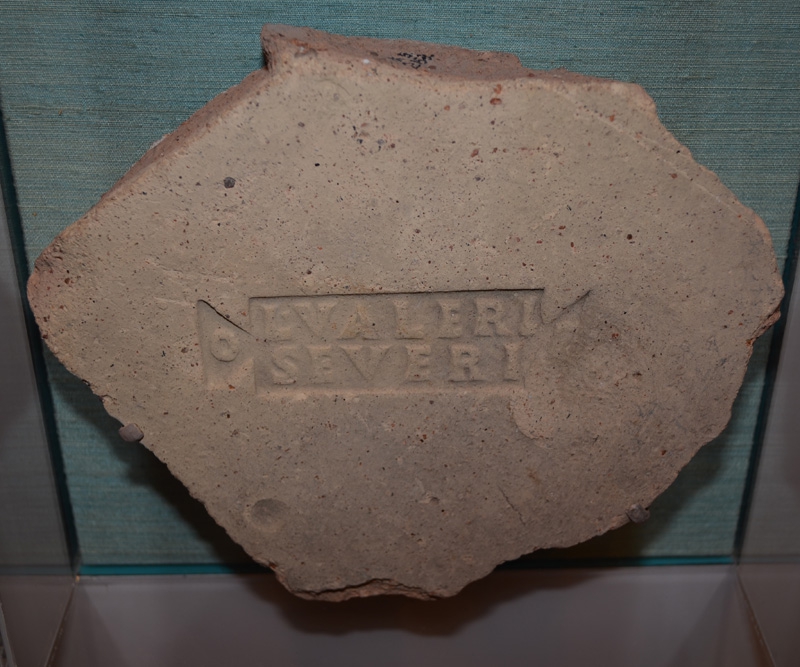 MS2153