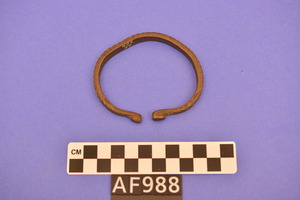 AF988