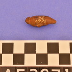 173616