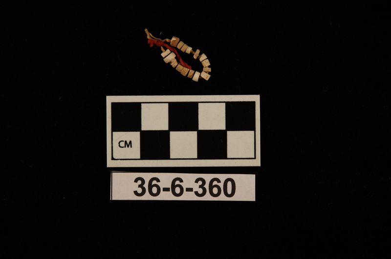 173771