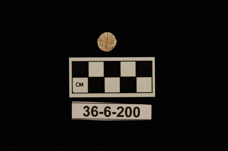 173868
