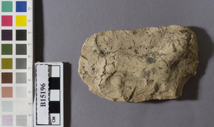 B15196