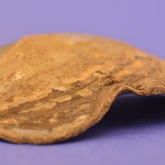 175160