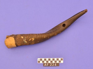 AF224
