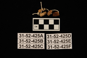 31-52-425A