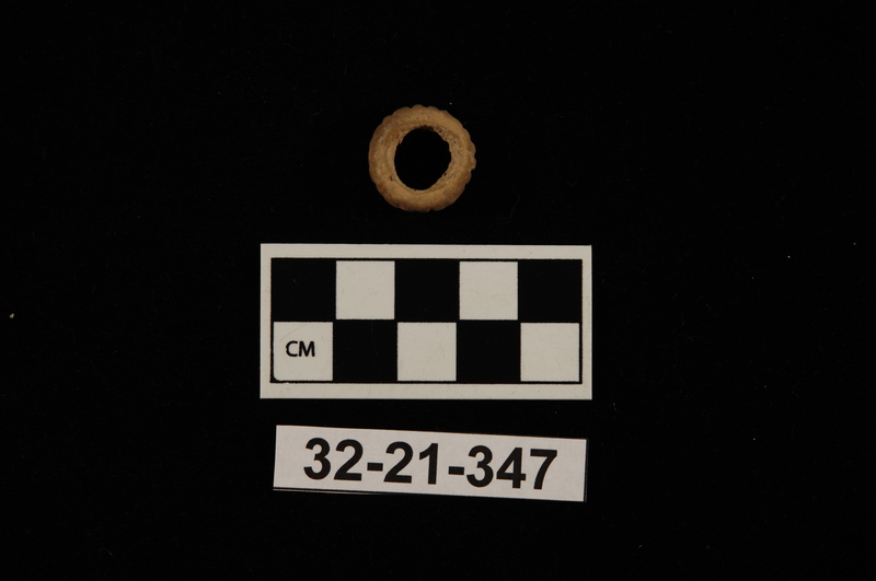175561