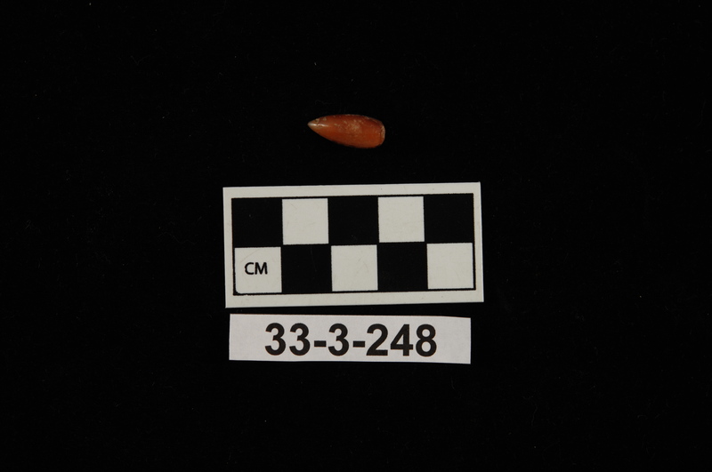 175631