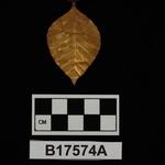 175632