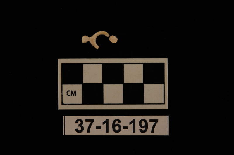 175668