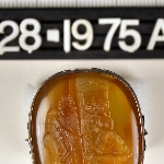 176215