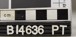 176984