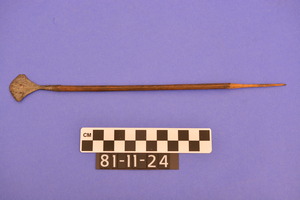 81-11-24