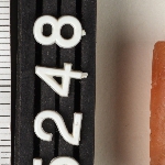 177211
