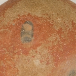 178064