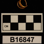 178277