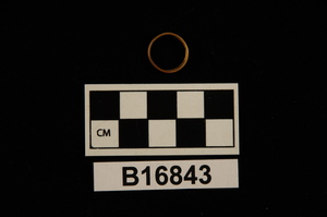 B16843