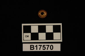 B17570