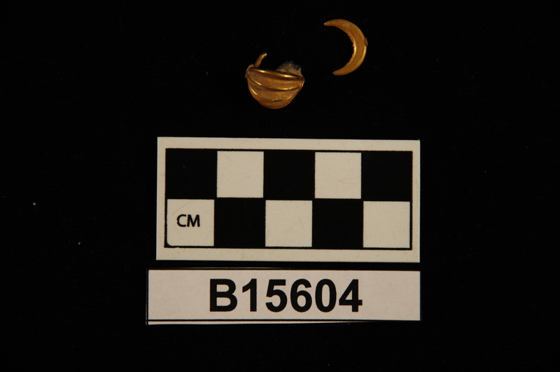 178447