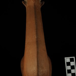 178548