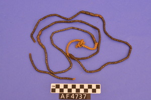 AF4737