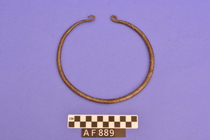 AF889