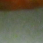 183815