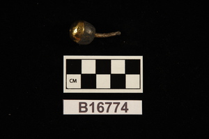 B16774