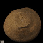 184161