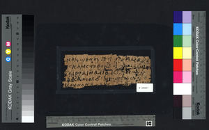 E16447