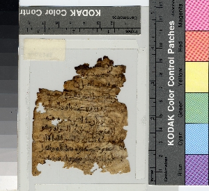 E16251
