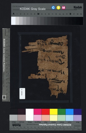 E16496