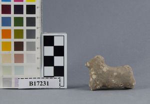 B17231
