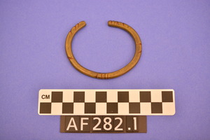 AF282.1