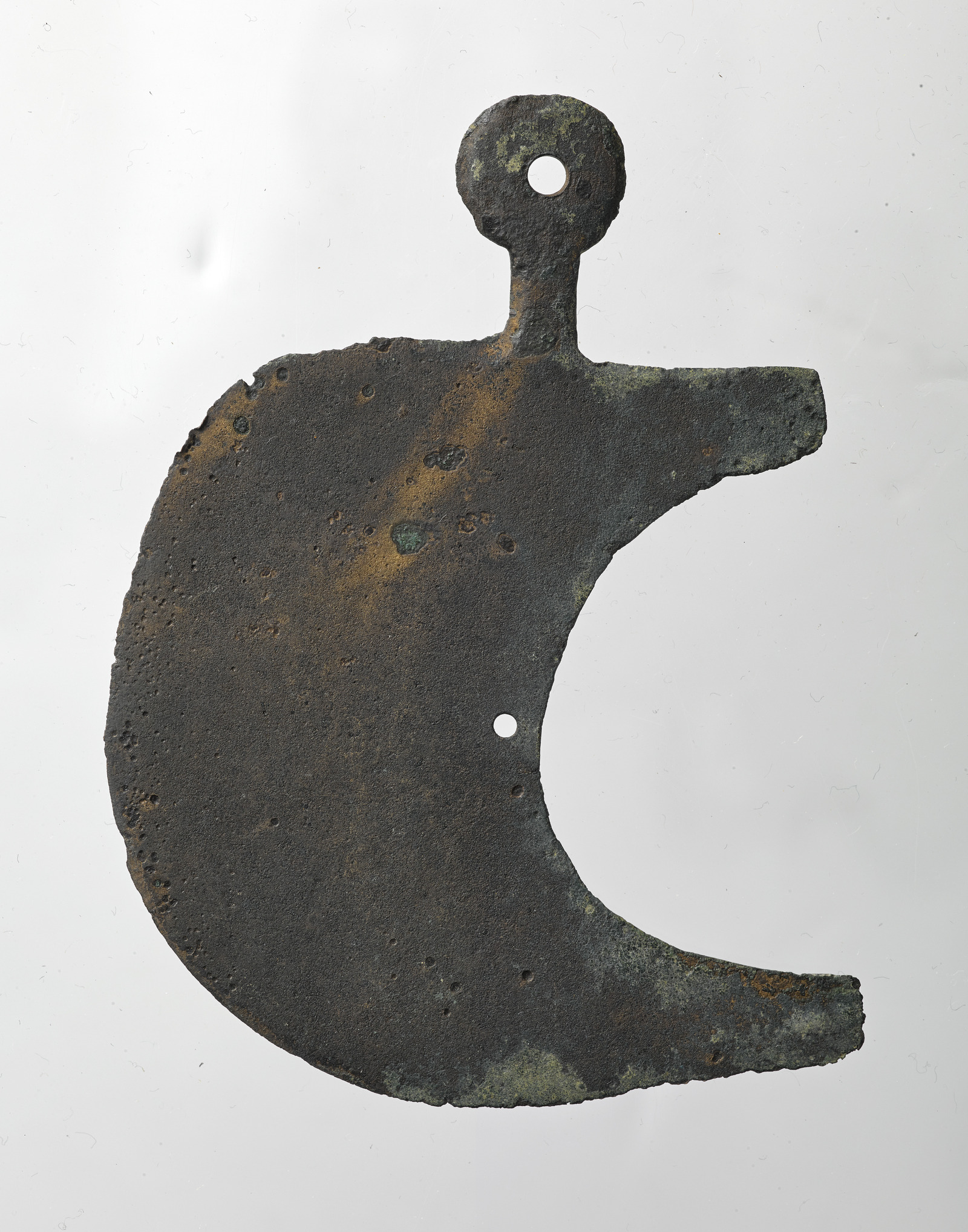 191202