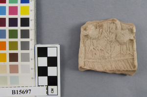 B15697