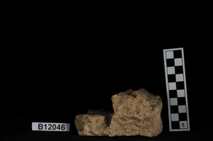 B12046