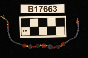B17663
