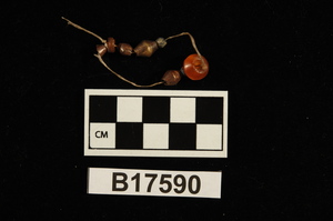 B17590