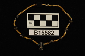 B15582