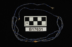 B17631