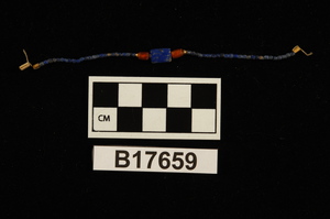 B17659