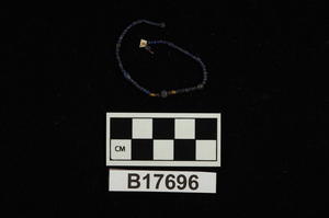 B17696