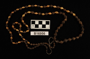 B16956