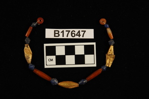 B17647