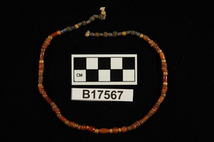 B17567