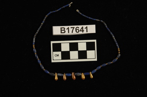 B17641