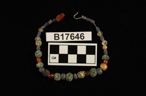 B17646