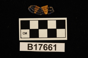 B17661