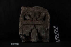 B16667